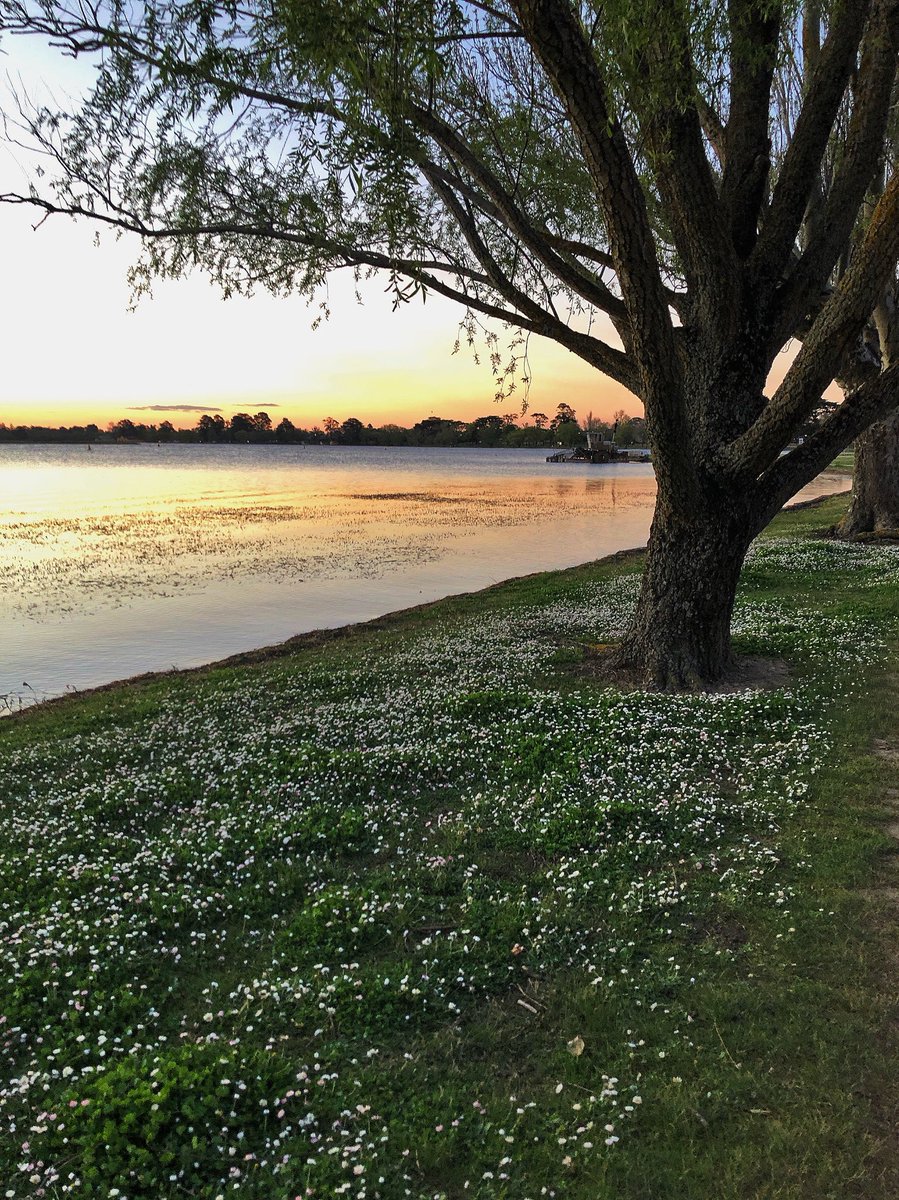 PrettyPatten's tweet image. Ballarat