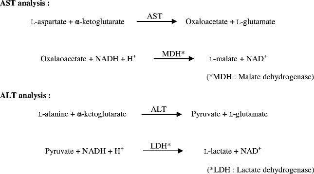 ملخص Biochemistry👩🏻‍🔬 - المسلسل من غيداء طلال بصفر🇸🇦 @ghayda_basfar - رتبها