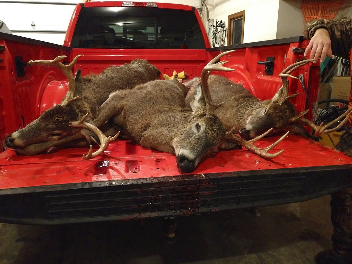 JacobScriver's tweet image. Had a good opening #deerhunting weekend here in #Wisconsin. Not the biggest bucks but it's the first time that my brothers @JoshScriver, @DanScriver, and I got a buck in the same season.