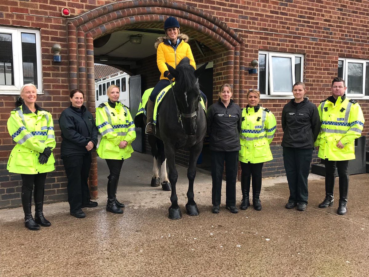 Hey ⁦<a href="/BBCNWT/">BBC North West</a>⁩ met some new friends today out filming.                 If I can’t bring Police Horse Harriet back to Media City tonight I am not coming in.  ⁦<a href="/MerPolMounted/">Mer Pol Mounted</a>⁩ #StandTall