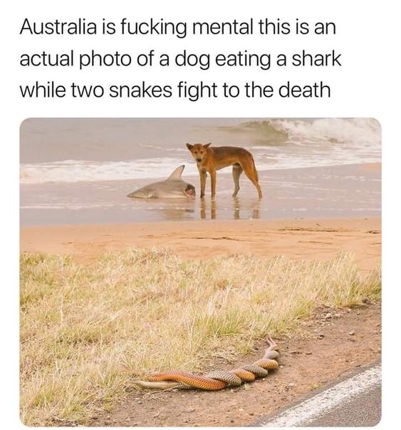 aggierican's tweet image. Good morning, Twitter 😊