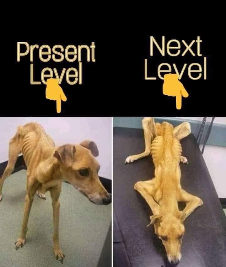 Sadeeq022's tweet photo. APCNG #NextLevelLies #NextLevelFailure #NextLevelFraud #NextLevelDaura #NextLevelScam #nextlevelhunger #nextlevelmusicofpoverty #NextLevelOfJoblessness #NextLevelCorruption 
#nextlevelnepotism #nextlevellifeless #NEXTlevelcopy.I reject APCNG fraudulent nextlevel bcos is nextdavil https://t.co/AUmmQUj9wK