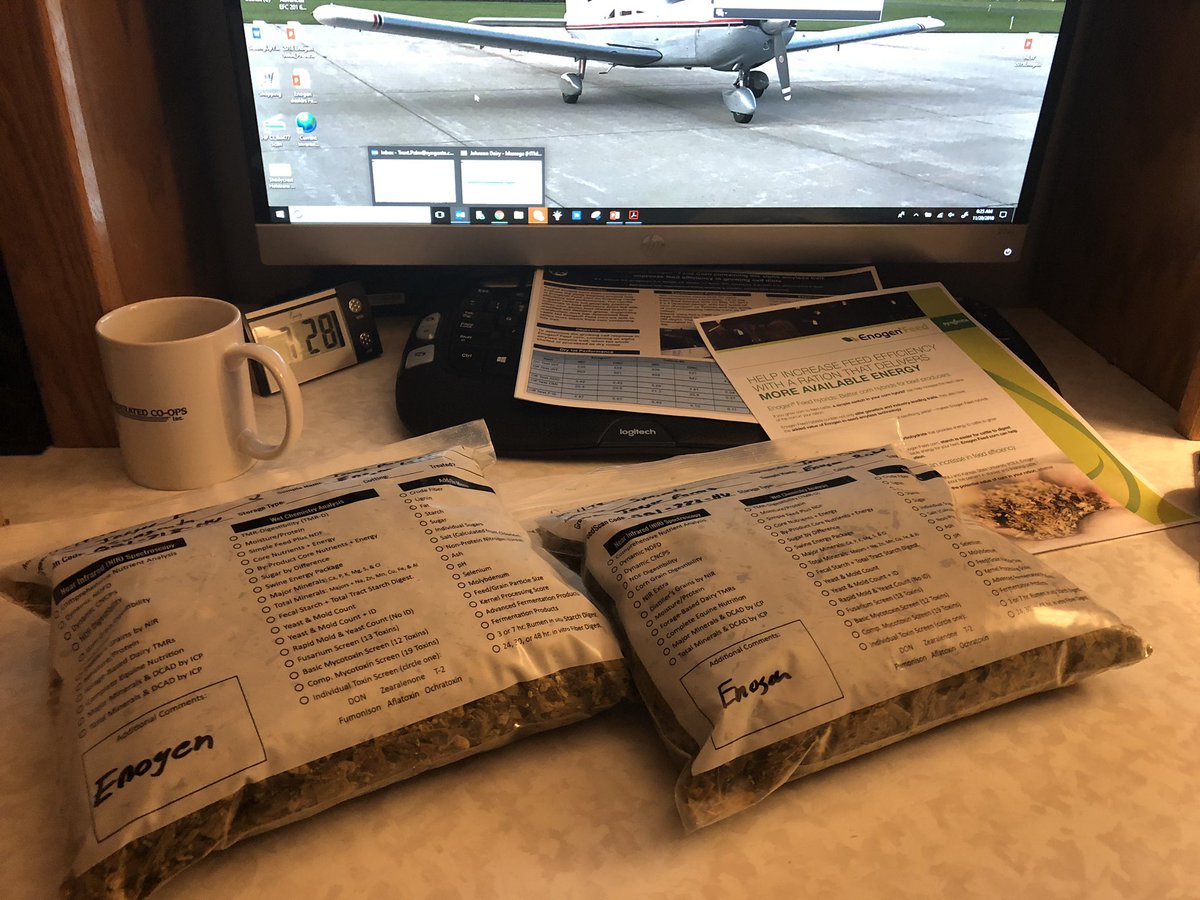 aerroTpalm's tweet photo. Office smells like silage, Prepping #EnogenFeed samples, #FeedEffeciency #Energy #Beef #MoreROI @SyngentaUS https://t.co/A9vNCmwlGN