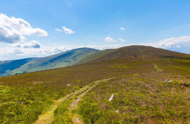 Great focus on the work undertaken by #Myshall through the Town &amp; Village Renewal Scheme in <a href="/thejournal_ie/">TheJournal.ie</a> ! &gt; How a small #Carlow town is building an Irish Camino buff.ly/2S0NuQj @DeptRCD <a href="/Carlow_Co_Co/">CarlowCountyCouncil</a> @LasIreland <a href="/CarlowLibraries/">Carlow Libraries</a> <a href="/carlowtourism/">carlow tourism</a> <a href="/VisitCarlow/">Visit Carlow</a>