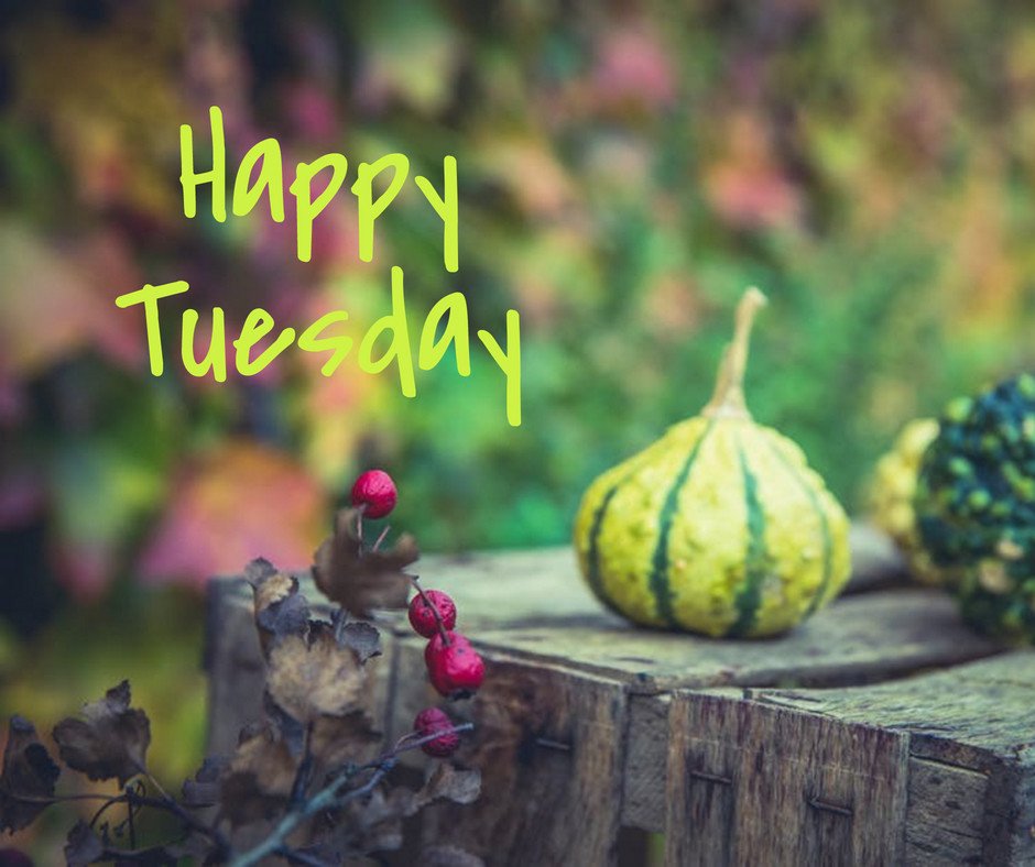 PoisedPenPro's tweet photo. Happy Tuesday! https://t.co/s7XSFqVoSd