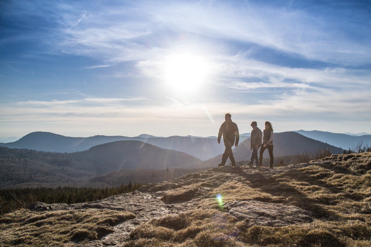 CarolinaParent's tweet photo. Enter to win an #Asheville Winter Getaway: 
🏨2 nights at @HaywoodHotelAVL
🌲4 passes to @avltreetops 
🍽️Dinner for 4 at @hemingwayscuba_ 
🍞A $50 gift card to @chefkatiebutton's @buttonbagels 
🍗 A meal for 4 at @RockysHotChickn 
➕more! https://t.co/U5Obc94Ojc @VisitAsheville https://t.co/tm4vWPsmcR