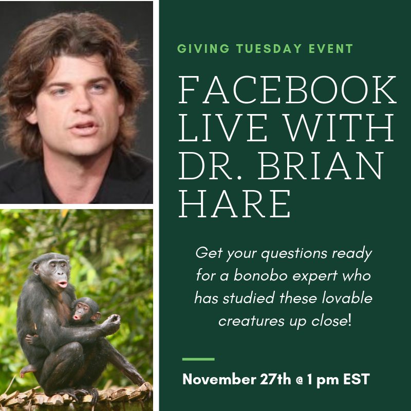 Lola_ya_Bonobo's tweet photo. We will be hosting a Facebook Live event with leading bonobo expert, Dr. Brian Hare @bharedogguy, on #GivingTuesday (11/27) at 1pm EST. Make sure to tune in to learn more about these peaceful primates and have the opportunity to ask him questions!

https://t.co/oDeskZIw4b https://t.co/O6TYKkemGf
