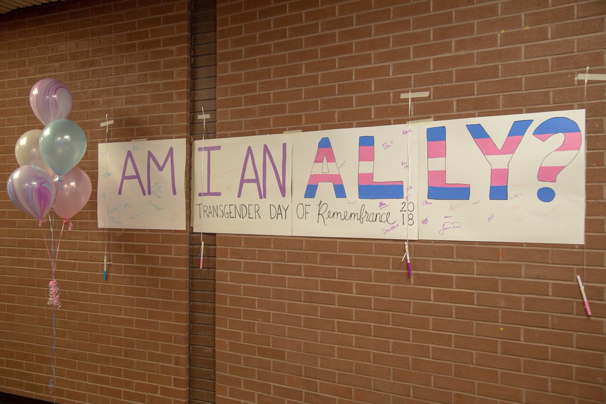Faculty Of Education On Twitter Are You An Ally Today