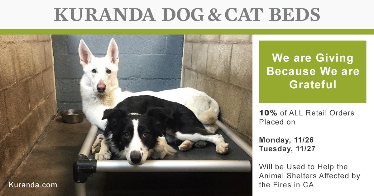 Kuranda's tweet photo. We have so much to be thankful for, so this holiday season, we want to pay it forward.
#CyberMonday #GivingTuesday #KurandaBeds https://t.co/MwGgBdqyCX