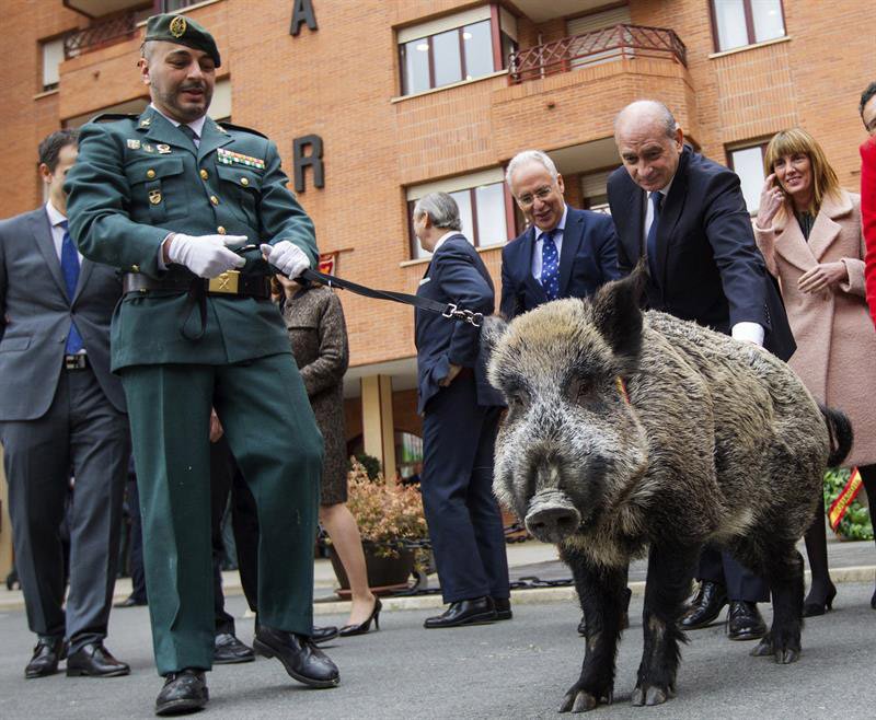 Otra perla, que veo a la peña animada.

¿Título de la película?