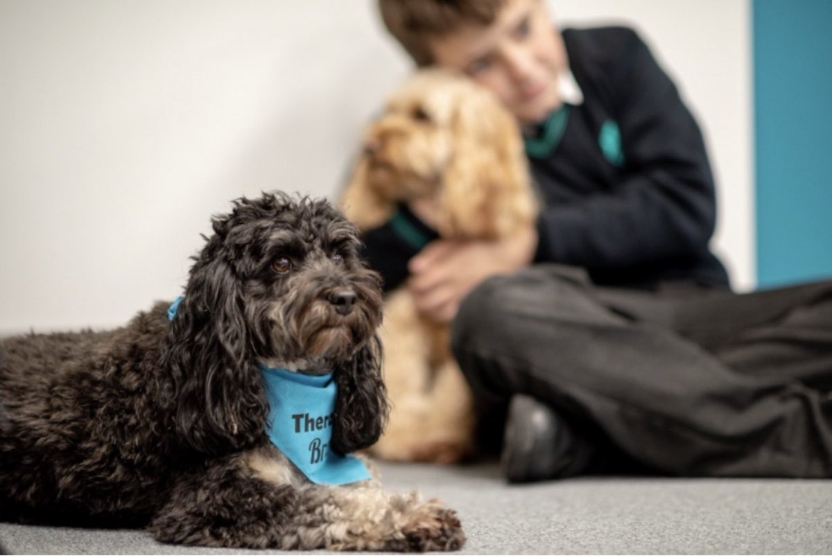 Therapy dogs at Eden today <a href="/Bramble_Laurel/">Bramble&Laurel</a>