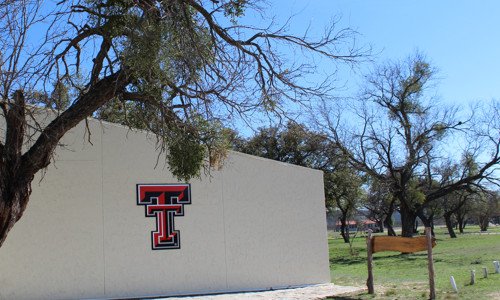 TTUeLearning tweet picture
