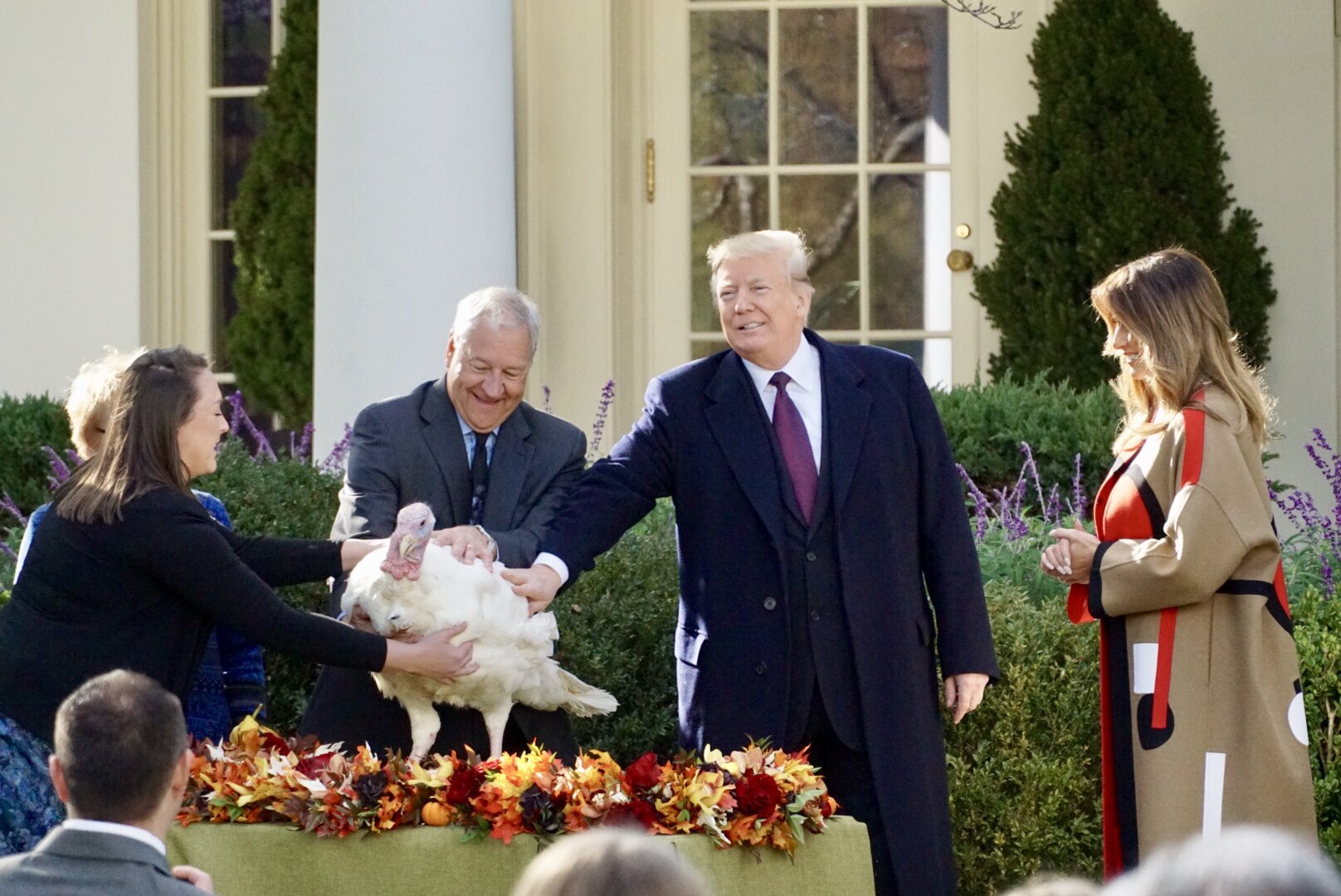 Dsd6kLiUcAA1EkS.jpg:large