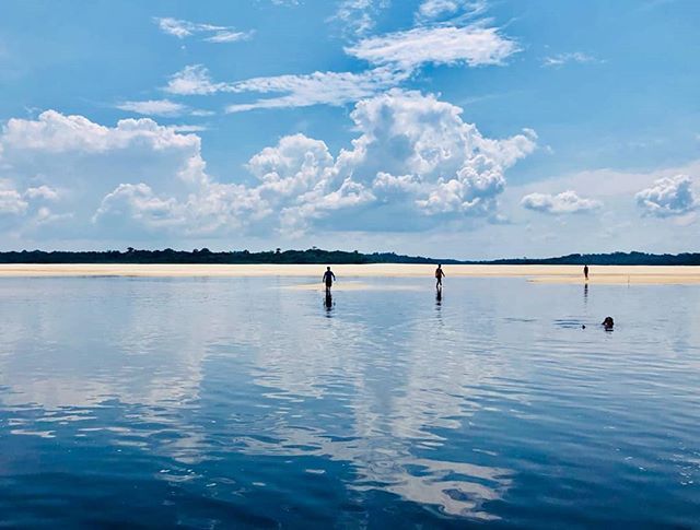 PraQueRumo's tweet photo. As mais belas praias do Amazonas.

O arquipélago de Anavilhanas é um "pequeno" conjunto com mais de 400 ilhas. No período da seca (agosto a dezembro) são formadas inúmeras praias de área branca e águas escuras. As mais famosas são:

Praia do Iluminado
Praia do Tiririca
Praia… https://t.co/MdmYGu8khH