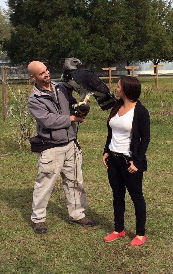 That moment you are standing right next to a Harpy Eagle and it turns to stare right into your eyes... #breathtaking. #NaturalEncounters #AnimalTrainer