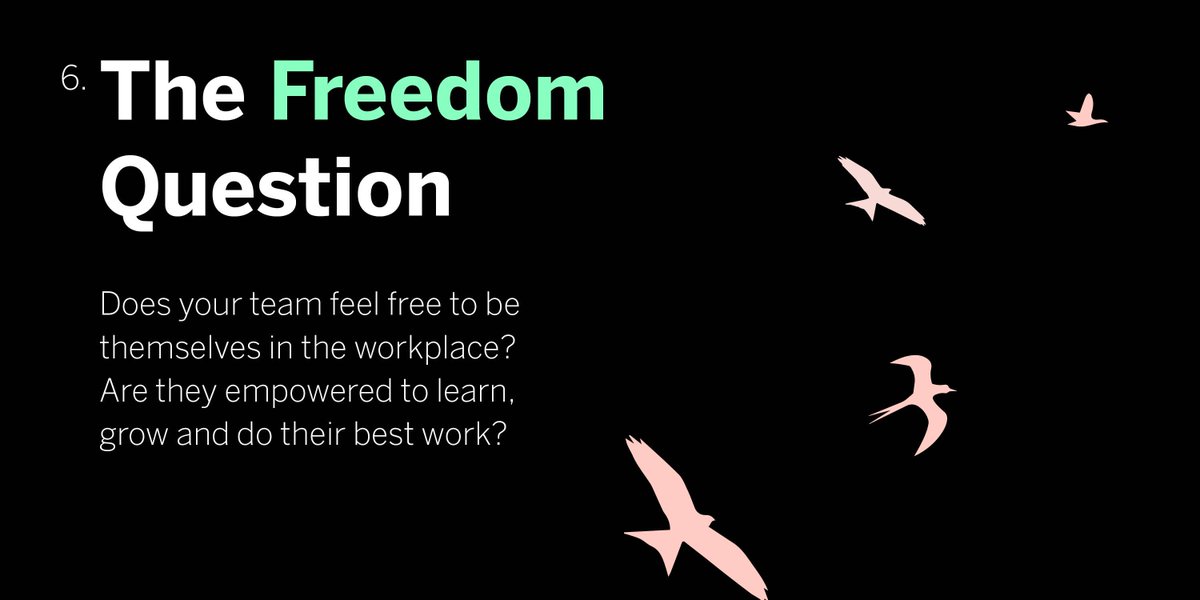 TalkBrandCap's tweet photo. The 6th installment of our #ScalingCulture series is about autonomy vs accountability. The role of #management is shifting. There has to be a balance of autonomy and accountability, but when it's good - it's really good.  https://t.co/iTvjAoDt3F #growth #business https://t.co/ds1UMXR9aO