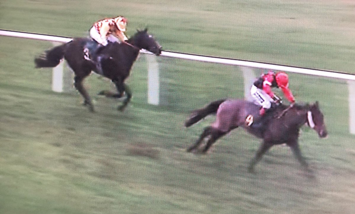 amajox's tweet photo. Congrats 16 yo @amajox @jacktudor9 1ST career #WIN @MFSportingUK novice hurdle @FakenhamRC @CWilliamsRacing #UnoMas makes 6 hour journey worthwhile! #5ran #topjock #daytoremember #shortjourneyhomeπππππ₯ https://t.co/udE0hHpHLc