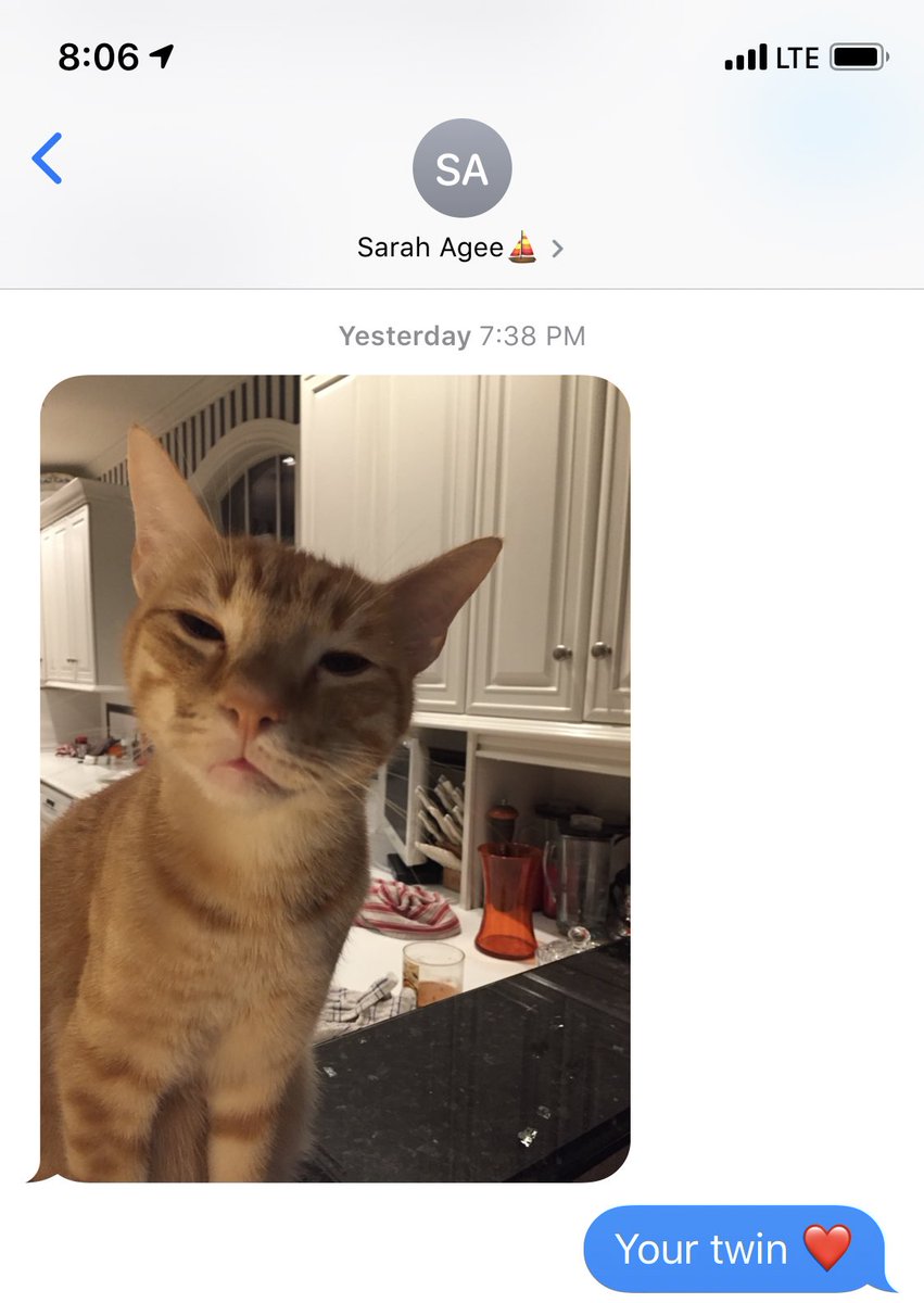 kiawnf's tweet photo. At this age, most people are getting pictures of their friendโs babies. Me? Iโm getting pictures of my friendโs cat. #weaintgottimeforthat @Scagee https://t.co/AdnPYMbqU5