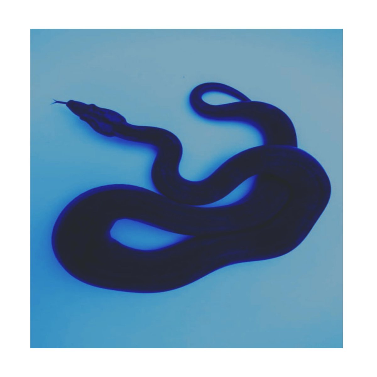 ㅤㅤㅤ ❪ ⌜goddᥱss ⨾ dᥱmon⌟ ❫
    ㅤㅤㅤ      『 酒の悪魔 』
ㅤㅤㅤ━━━━━━━━━━━━━━━━

   ㅤ   ╱。Mᴠʀᴘ｡ ┆﹙ɴ﹚sꜰᴡ｡
    ㅤ  ╱。sᴇʟᴇᴄᴛɪᴠᴇ｡

                ˗ˋ  ─ ↻ + ♡ ─  ˊ˗

⤹ ᴛᴀᴘ ↷