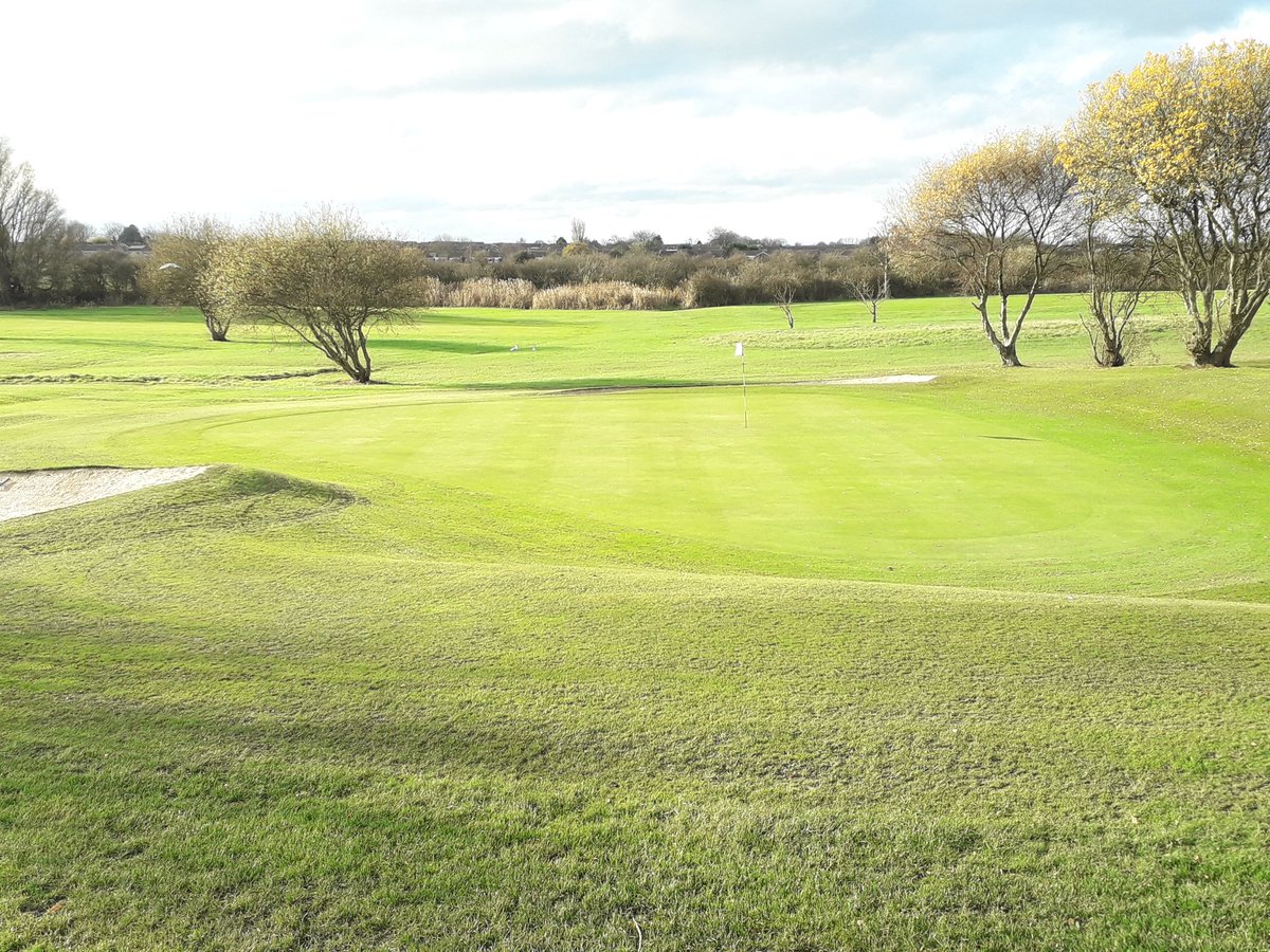 GrassGuru247's tweet photo. @poultongc https://t.co/hJsp5TLnTW