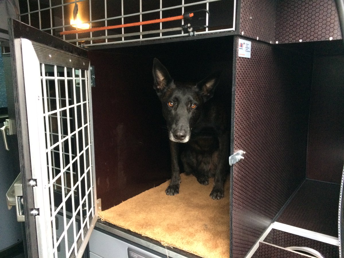 asvancare's tweet photo. A&amp;S Vancare zondag 25 november aanwezig bij #Clubmatch @NoorderKC met een demo #bedrijfsauto op maat voor het vervoer van #honden

https://t.co/9Tvka4Epvu

#bedrijfsauto #bedrijfswagen #hond #hondenvervoer #bench #bedrijfswageninrichting #clubmatch #NKC #MartiniPlaza #hondenshow https://t.co/yP9Z5H56Ue