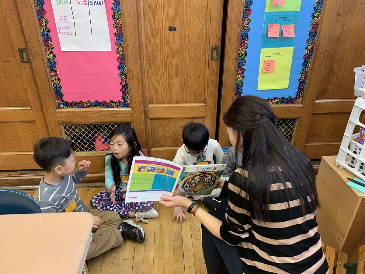 ChristinaGuerc1's tweet photo. First Grade working on non-fiction read alouds with our TC staff developer-Valerie Geschwind 📚@PS159_Q @A_Principal159Q @D26Team https://t.co/YF3hKW5CPA