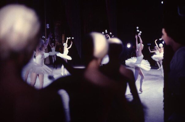 DecidesTo's tweet image. 