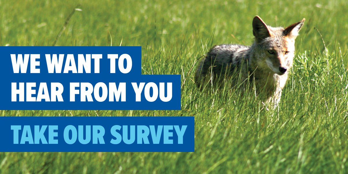 AgricultureON's tweet photo. We’ve heard livestock farmers’ concerns about the Ontario Wildlife Damage Compensation Program. Our government wants to make sure it meets farmers’ needs. Have your say by Nov 21 #ONTgoat #ONSheep #OntAg https://t.co/FGoKgTKrmF https://t.co/MU0ro832aR