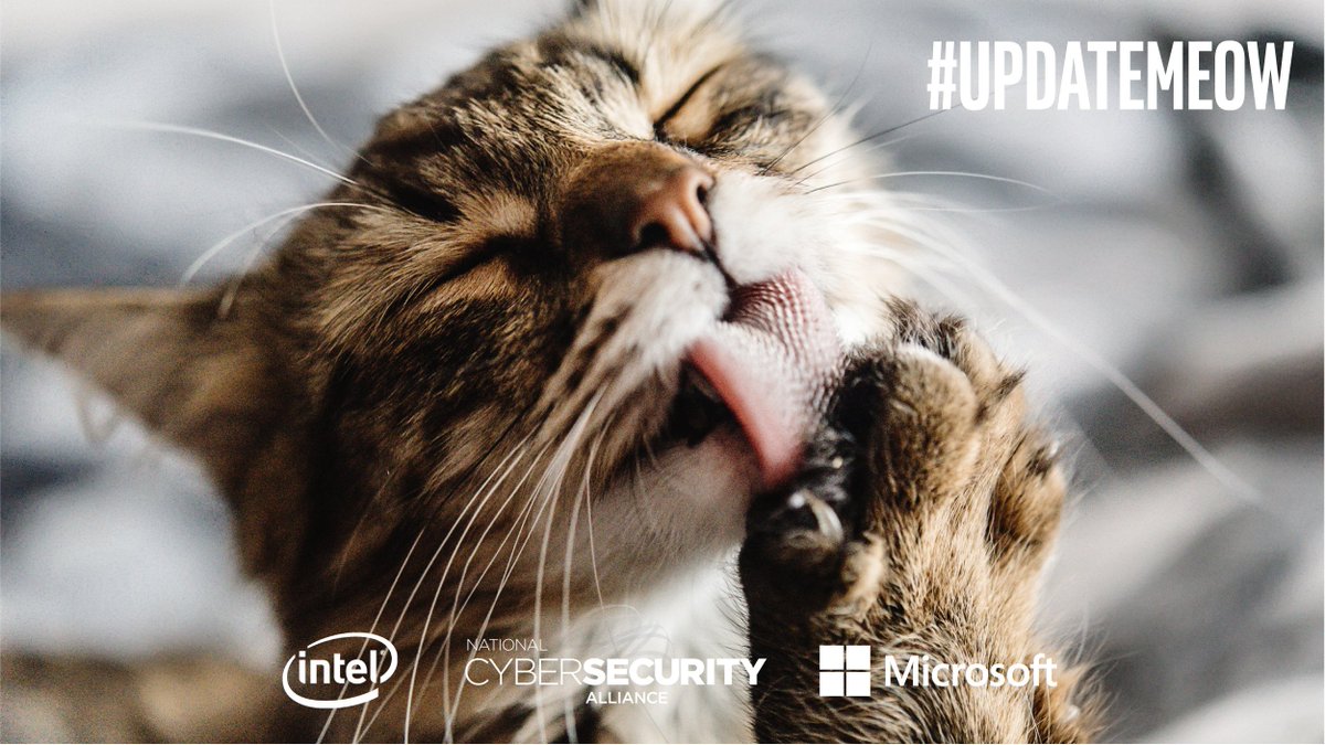 PoweredBySTL's tweet photo. Recipe for a purrfect holiday: turkey, stuffing, system updates, and toe beans. #UpdateMeow #UpdateCat #infosec #Cybersecurity #PoweredBySTL https://t.co/q8tEpMSPgC https://t.co/2mxyeadlkI