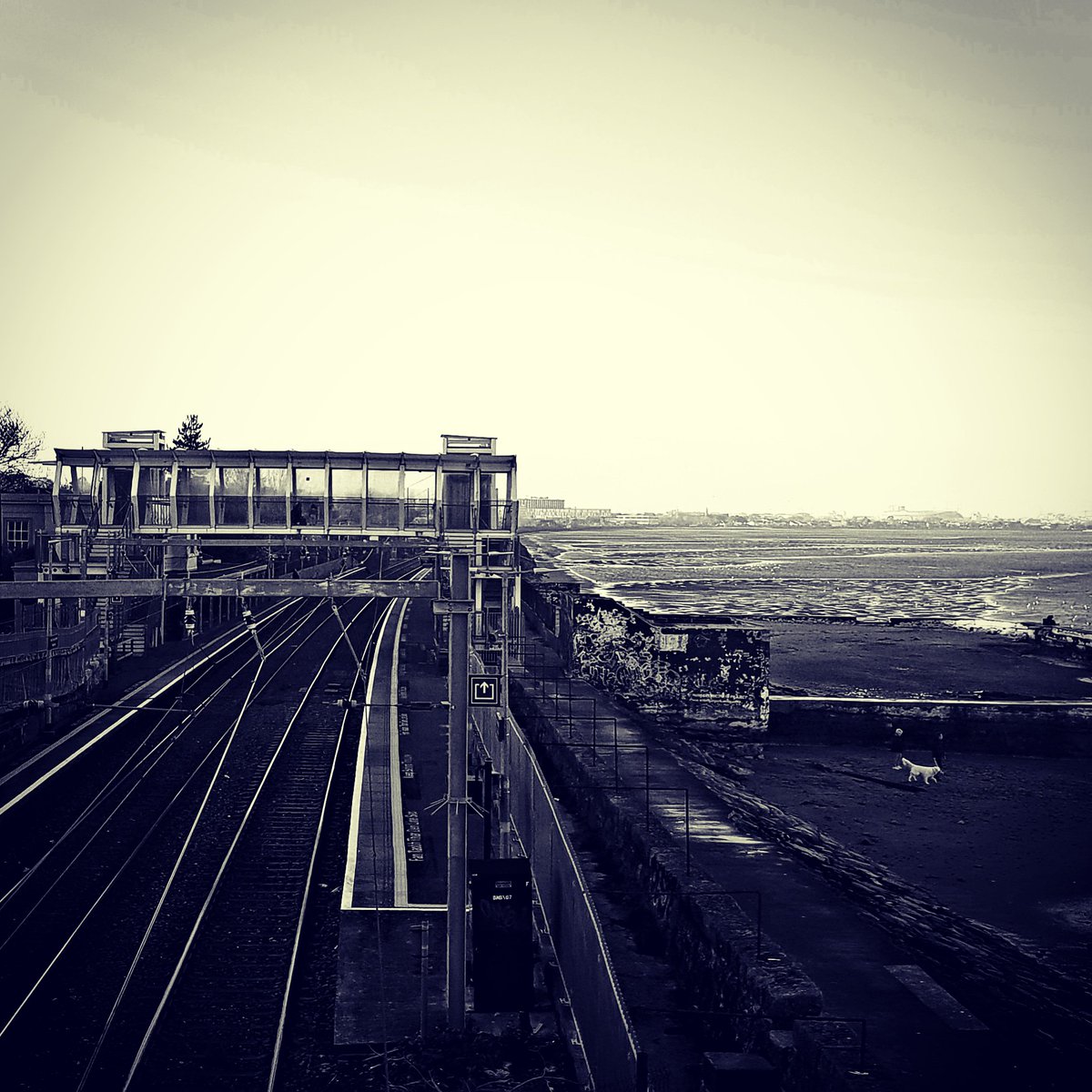 SusanSweeny's tweet photo. Blackrock: Path track dart. Sea sand solace sad. Bridge. Walk left, right, wrong way, right way, stay. Cold wind. Move. On board away. by @SusanSweeny #suborg @suborgcity .#train #blackandwhite_photos #dublin #verysouthdublin #Dublin https://t.co/nCQZQxdgts