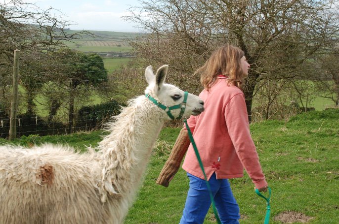 Kids don't remember their best days of television. Godshill Park Cottages - bookings for 2019 - mailchi.mp/eb644c2d679c/n…