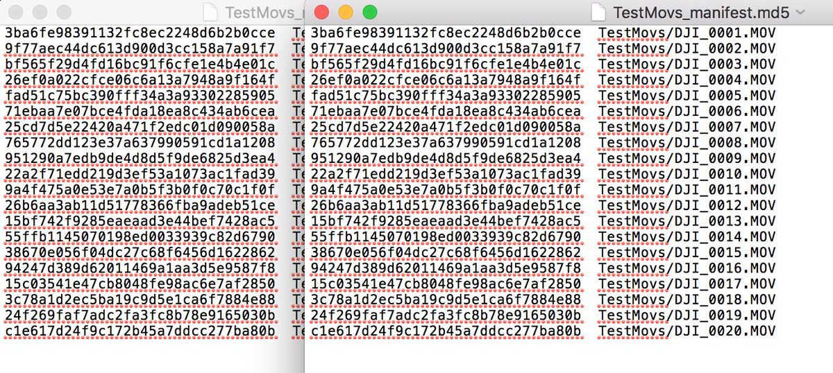 digitensions's tweet photo. "Your files have reached their destination and the checksums match" sweet music to my ears. Looking forward to many more such statements. Thank you @kieranjol and @IFI_Dub for your wonderful #ifiscripts https://t.co/kq04PREyYZ