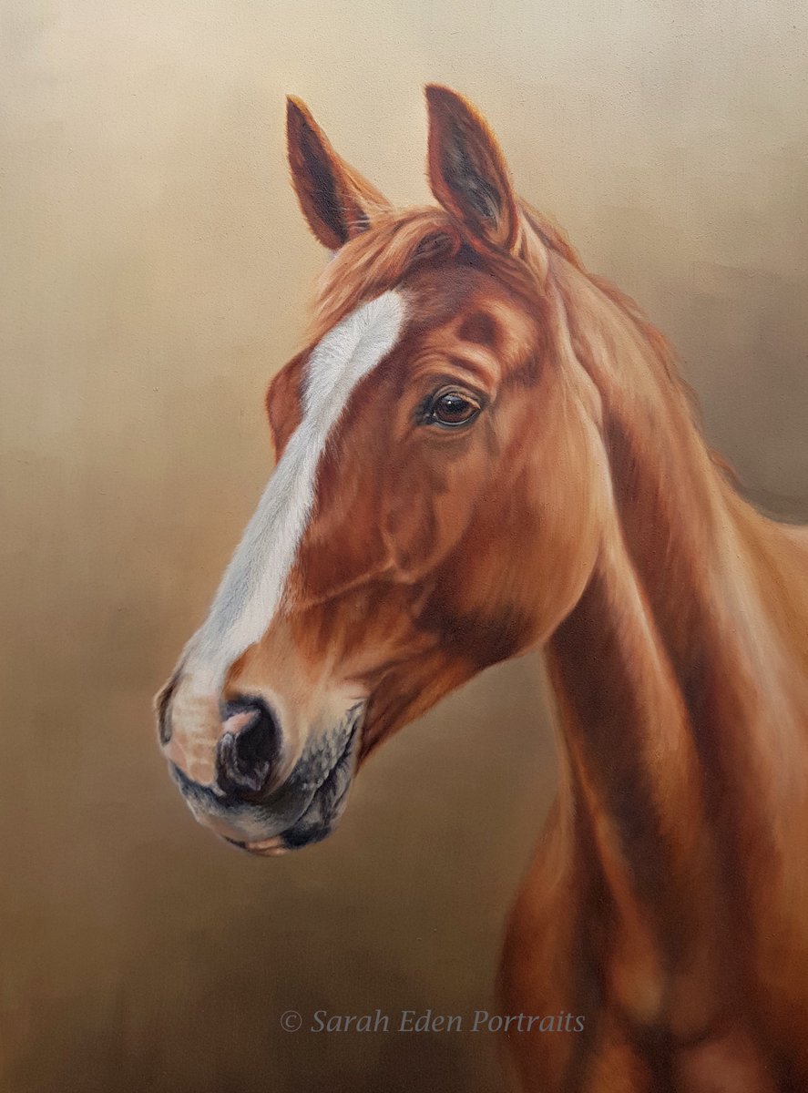 Just finished this lovely chap! Can't mention any names as it's a surprise for Christmas! Loved painting with these colours! :-) 

#horse #chestunuthorse #equineart #equineartist #horseportrait