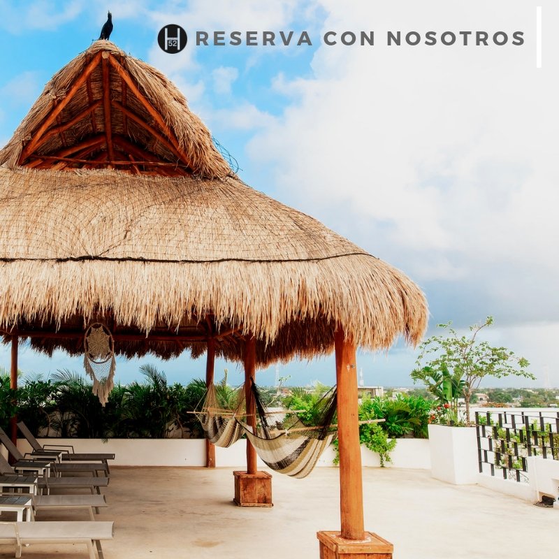 Vive la experiencia de disfrutar un día entero en nuestro Roof Top, reserva con nosotros! #HotelIdeal #Reserva #FamilyTravel
