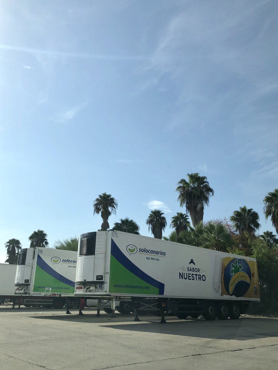 Solocanarias tweet media