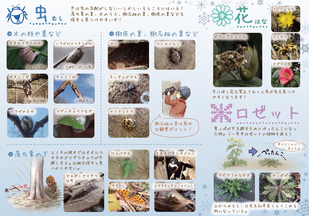 11/25（日）のcomitiaは久々に参加しますm(_ _)m
冬のいきものさがし推進キャンペーン！鳥見も初心者には冬がオススメ！…ということでゆるいフリーペーパー2種を置いときます。 