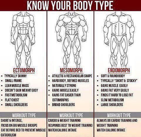 PhysiquesGreek's tweet photo. What is your body type? 
#GreekPhysiquesFitness
•
💡 Follow us @PhysiquesGreek for daily fitness motivation and information!
💡 Tag your friends who love to lift!
💡follow @greekphysiquesbrand on Instagram if you’re a true bodybuilder! https://t.co/5626jbiq5J
