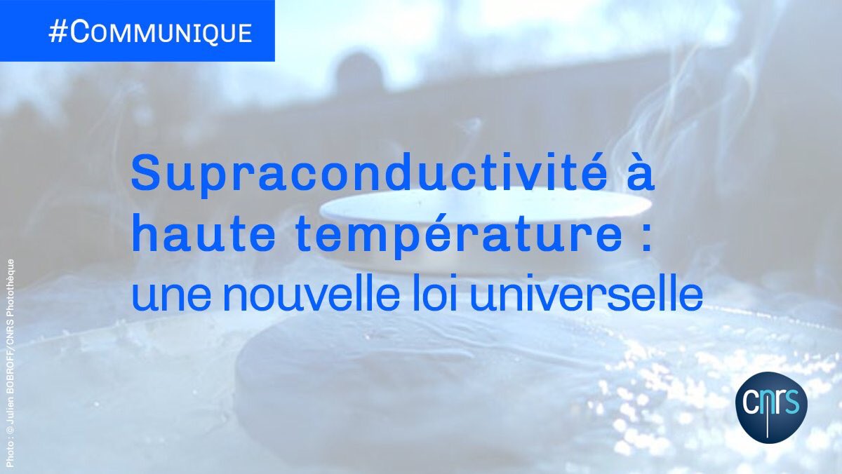CNRS's tweet photo. #Communiqué 🗞️ | Après 30 ans de recherche, une équipe de chercheurs vient de découvrir une loi universelle sur les propriétés électroniques des #supraconducteurs à haute température.

➡️ https://t.co/R34mN7x2e5

📘 @NaturePhysics | https://t.co/aJRJ030Ldj https://t.co/WTf8ik6ZUq