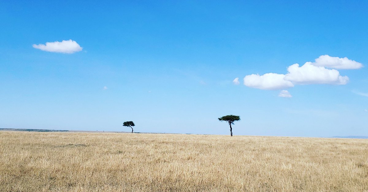 Masai Mara abstract: each tree has cloud