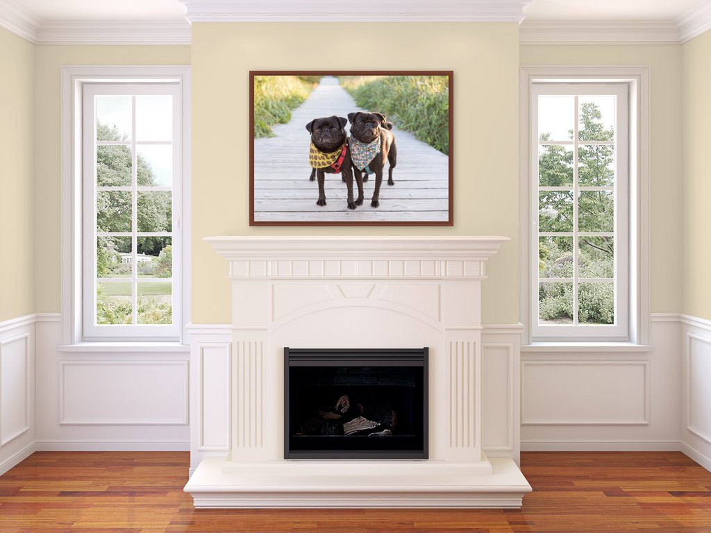 WetNoseImages's tweet photo. Let me tell you about one of the most exciting parts of the Wet Nose experience - your Reveal &amp; Order meeting. The day when you see your images for the first time and decide how to display them in your home!

https://t.co/TQn1ZX3gFh https://t.co/A7lY83lrW2