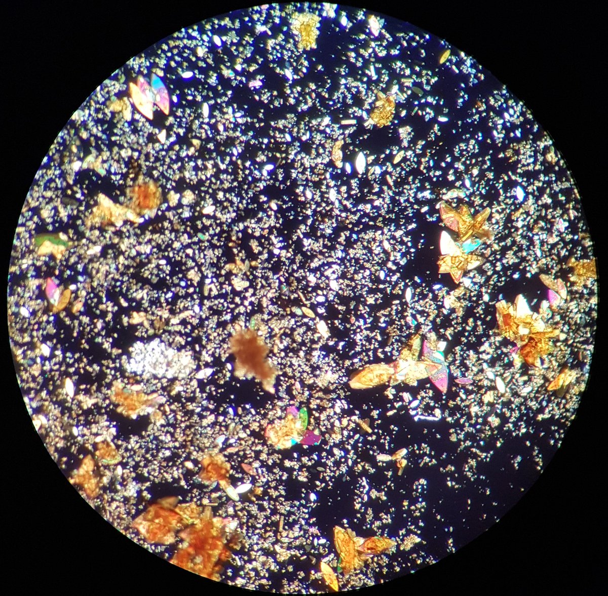 TimEasun's tweet image. I have a PhD position open! Open to applicants from UK/EU countries, if you like MOFs and photochemistry, then this is the perfect project for you. (It helps if you like shiny crystals...)

Enquiries welcome by email or Twitter, please RT.
findaphd.com/search/Project…
#chemjobs