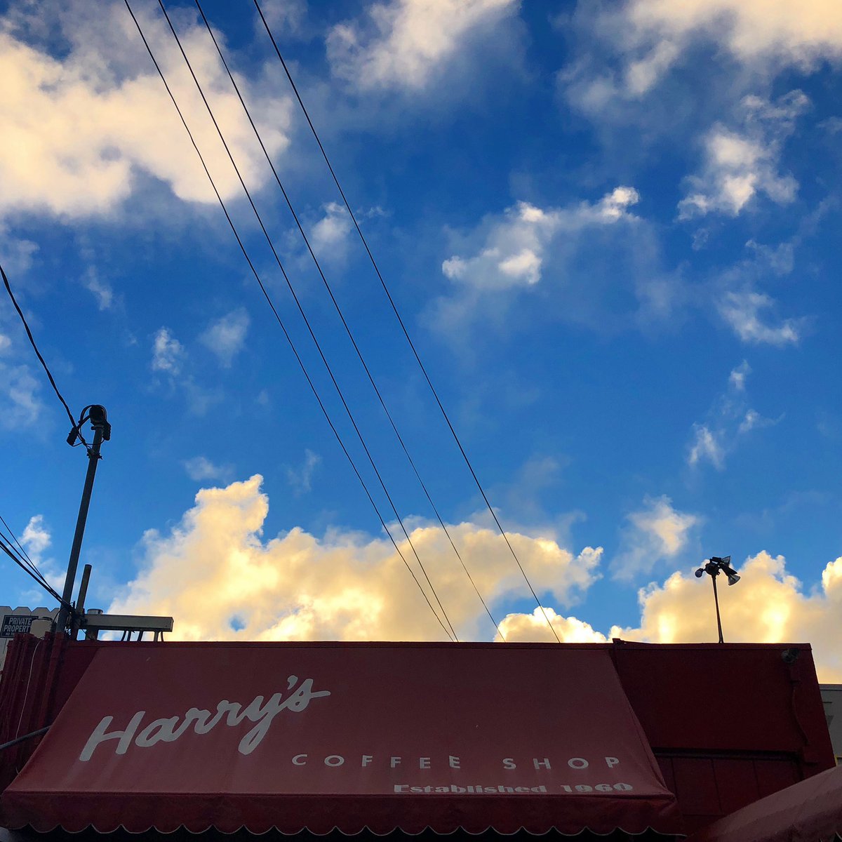 Eat at Harry’s then conquer the day! 🌞☕️ #HarrysCoffeeShop #SanDiego #LaJolla #EatAtHarrys #SanDiegoFood #SanDiego_Ca #FamilyOwned #SanDiegoCoffee #sandiegofoodscene #VisitSanDiego #YelpSanDiego #LaJollaCove #LaJollaCalifornia #SanDiegoEats #ToastOfTheTownSince1960