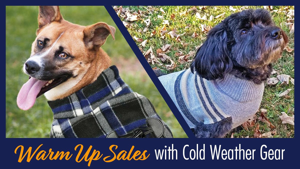 Phillips Pet Food & Supplies (@PhillipsPetFood) | Twitter