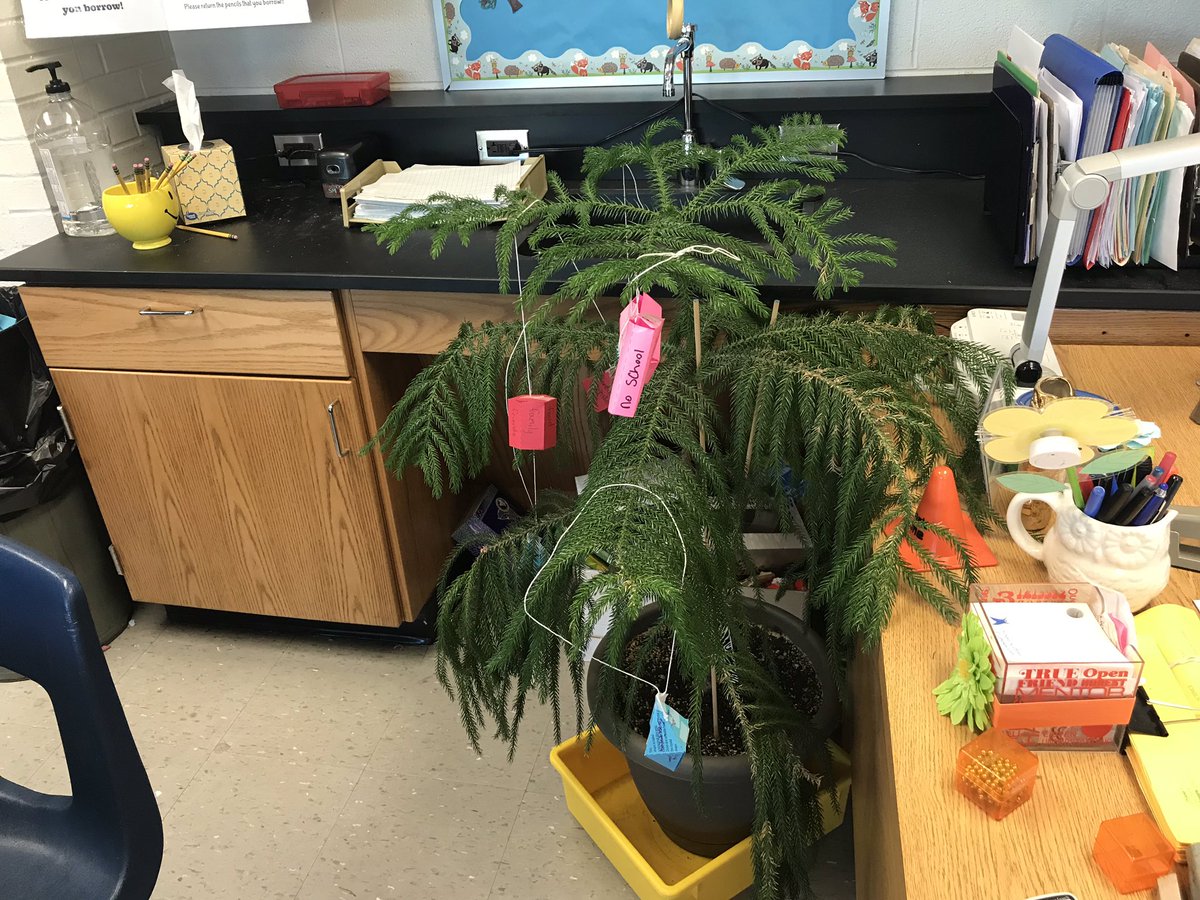 jgschlenkert's tweet photo. 8th grade scientists building mineral crystal models and decorating the Science lab! @PageSciDept @PagePanthers #wearelamphere https://t.co/PQhPloj3I2