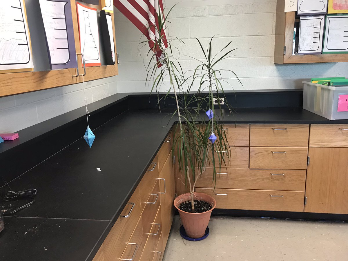 jgschlenkert's tweet photo. 8th grade scientists building mineral crystal models and decorating the Science lab! @PageSciDept @PagePanthers #wearelamphere https://t.co/PQhPloj3I2