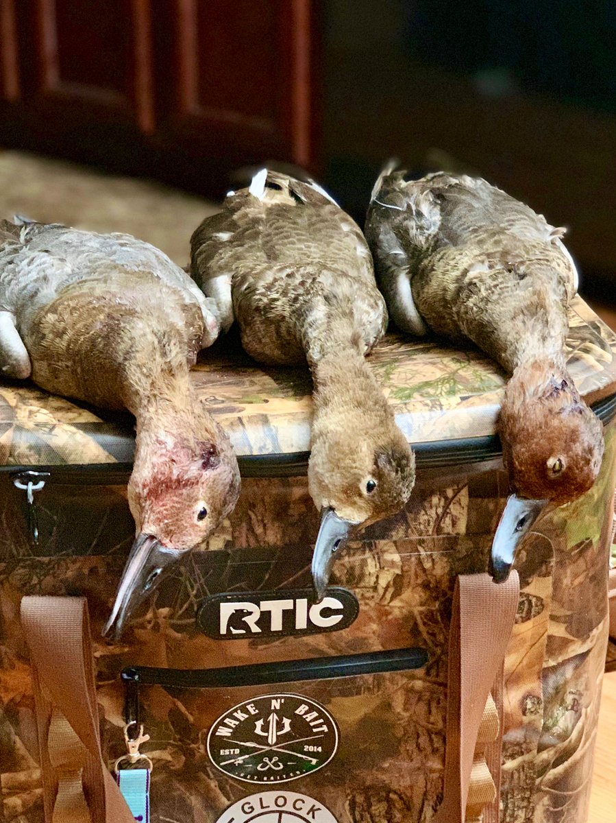 Diver variety 🦆 
@hamstrang 
#wakenbait #duckhunting #duckdown #waterfowl #diverducks #canvasback #scaup #bluebill #redhead #floridahunting #prohunt #tistheseason #thankful #hunting #eatwhatyoukill #getbaited