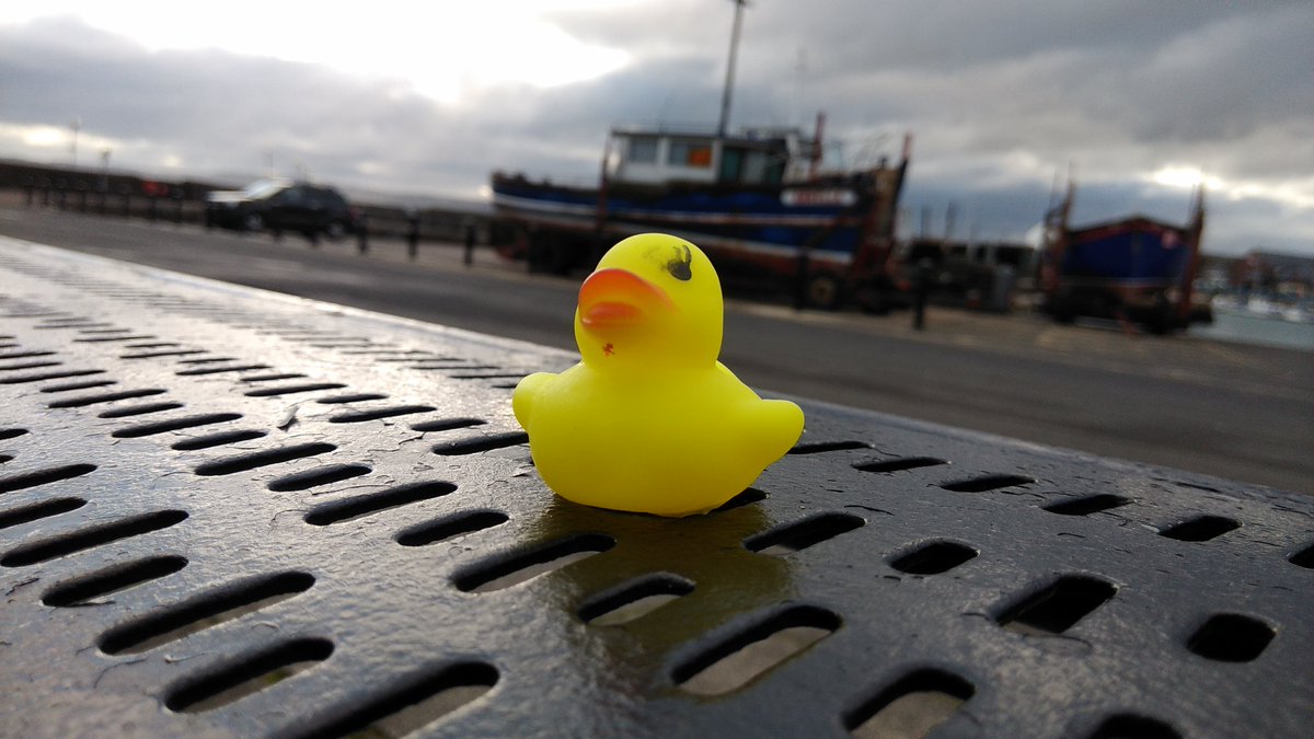 WhiteheadDucks's tweet photo. #Whitehead #Ducks #OnTour https://t.co/s9jyp1mFnF