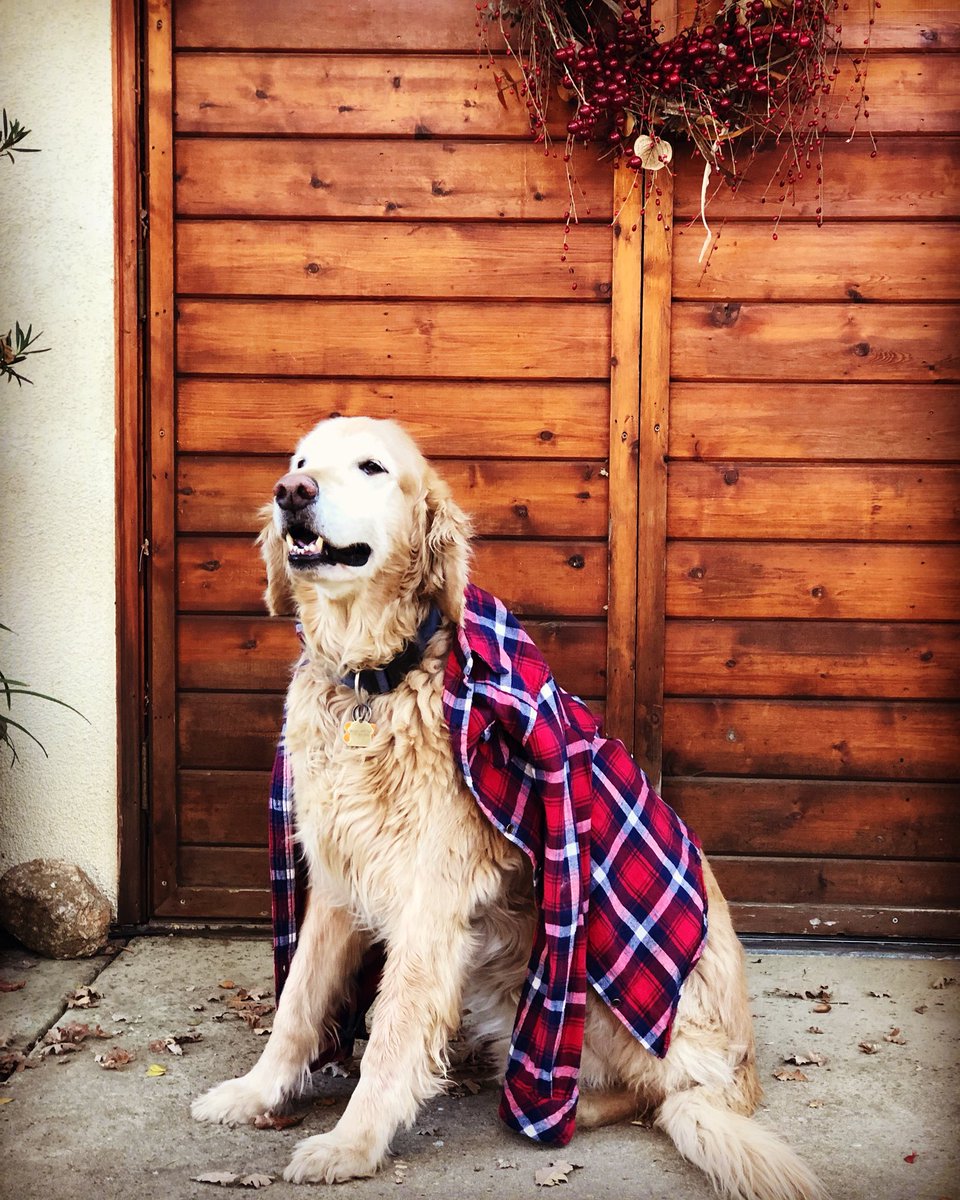 VisitElDorado's tweet photo. RT @hollyshill: Drake’s all ready for Plaid Friday! Join us the day after Thanksgiving & support shopping local~ 🛍
Shop local, Shop small,
Sip some wine, Avoid the mall❣️ https://t.co/Re2CCjoX1K