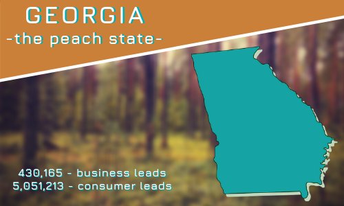 infofreedotcom's tweet photo. Georgia - the peach state -
We have leads all over the country! See for yourself by signing up for our service today! #infofree #salesleads #georgia #thepeachstate #lifeprotips #dailymotivation #leadgen https://t.co/mlqiHe5XGg