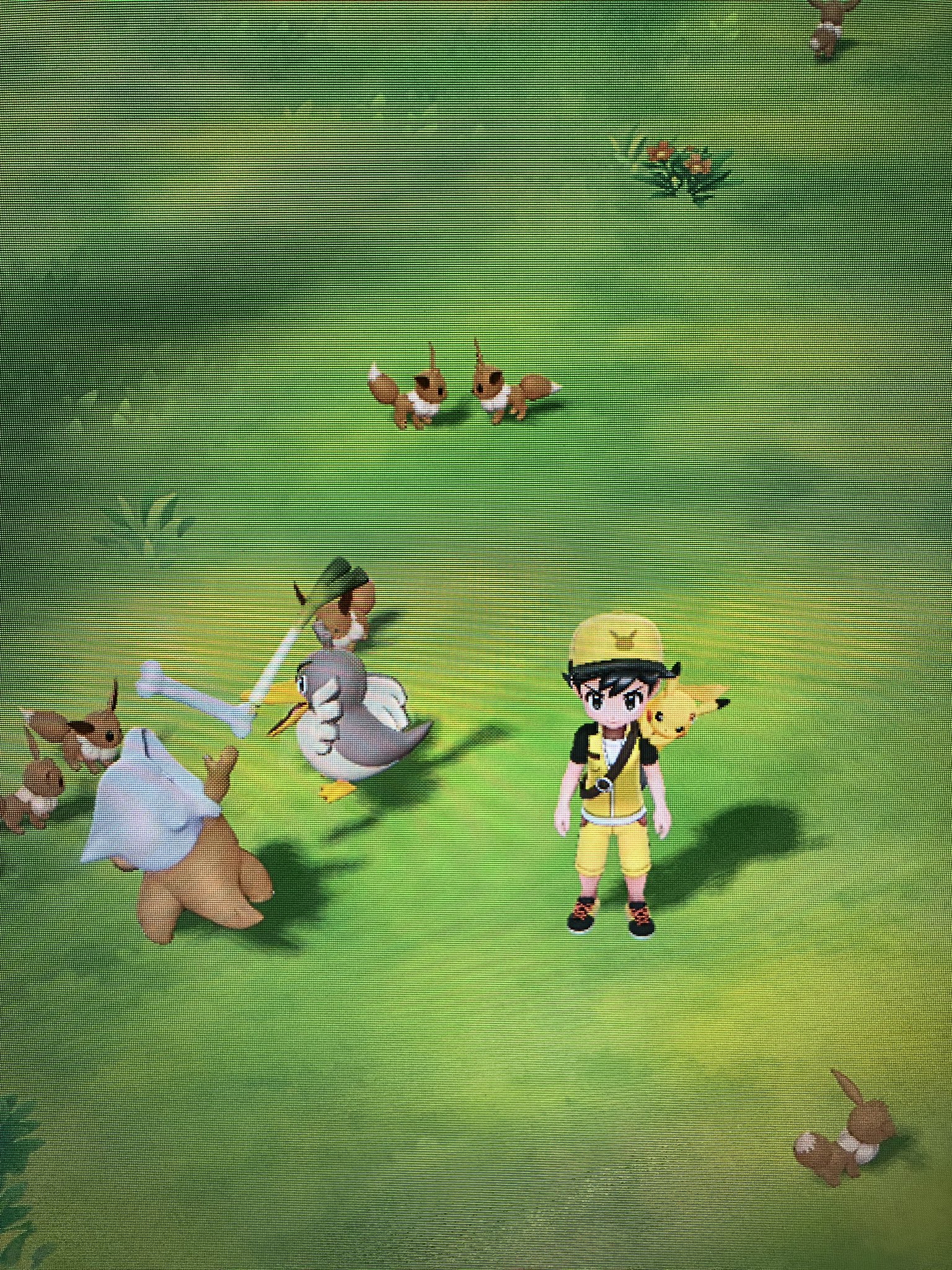 ポケットモンスターレッツゴーピカチュウ Twitter Search Twitter